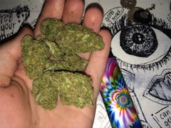 User uploaded image of Blue Nightmare