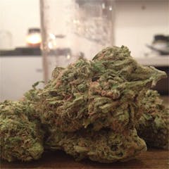 User uploaded image of Blue Nightmare