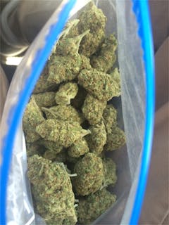 User uploaded image of Blue Nightmare