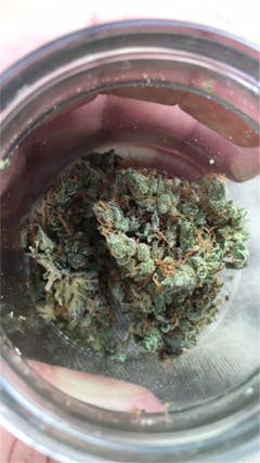 User uploaded image of Blue Nightmare