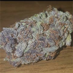 User uploaded image of Blue Nightmare