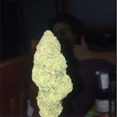 User uploaded image of Blue Nina