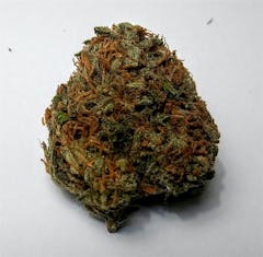 User uploaded image of Blue OG