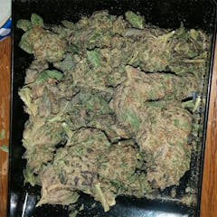 User uploaded image of Blue OG