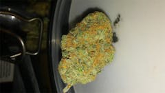 User uploaded image of Blue OG