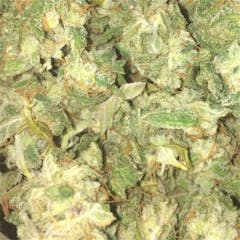 User uploaded image of Blue Ox