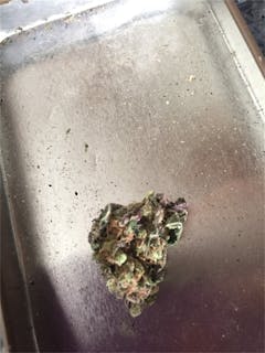 User uploaded image of Blue Persuasion