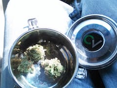 User uploaded image of Blue Persuasion