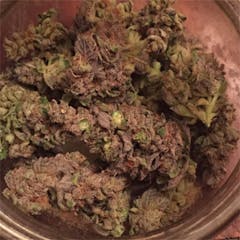 User uploaded image of Blue Power