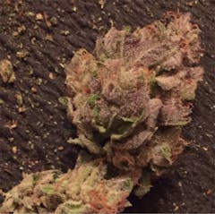 User uploaded image of Blue Power