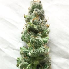 User uploaded image of Blue Rhino
