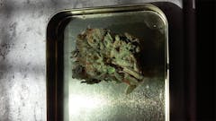 User uploaded image of Blue Satellite