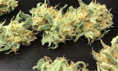 User uploaded image of Blue Thai