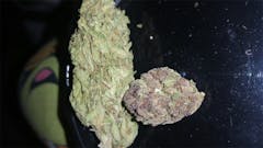 User uploaded image of Blue Thai