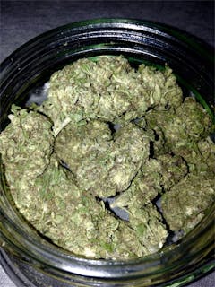 User uploaded image of Blue Train