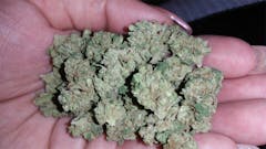 User uploaded image of Blue Train