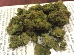 User uploaded image of Blue Treat