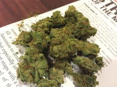 User uploaded image of Blue Treat