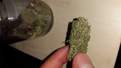 User uploaded image of Blue Velvet