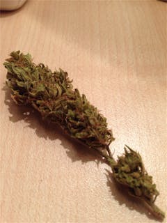 User uploaded image of Blue Velvet