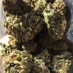 User uploaded image of Blue Widow