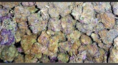 User uploaded image of Blue Zombie