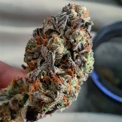 User uploaded image of Blue Zombie
