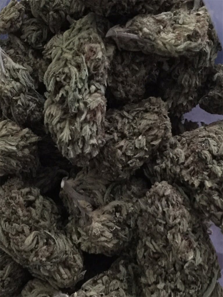 Blueberry AK aka Blue AK47, Blueberry AK47 Weed Strain Information
