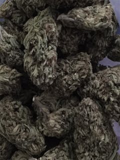 User uploaded image of Blueberry AK