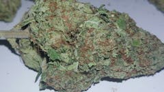 User uploaded image of Blueberry AK