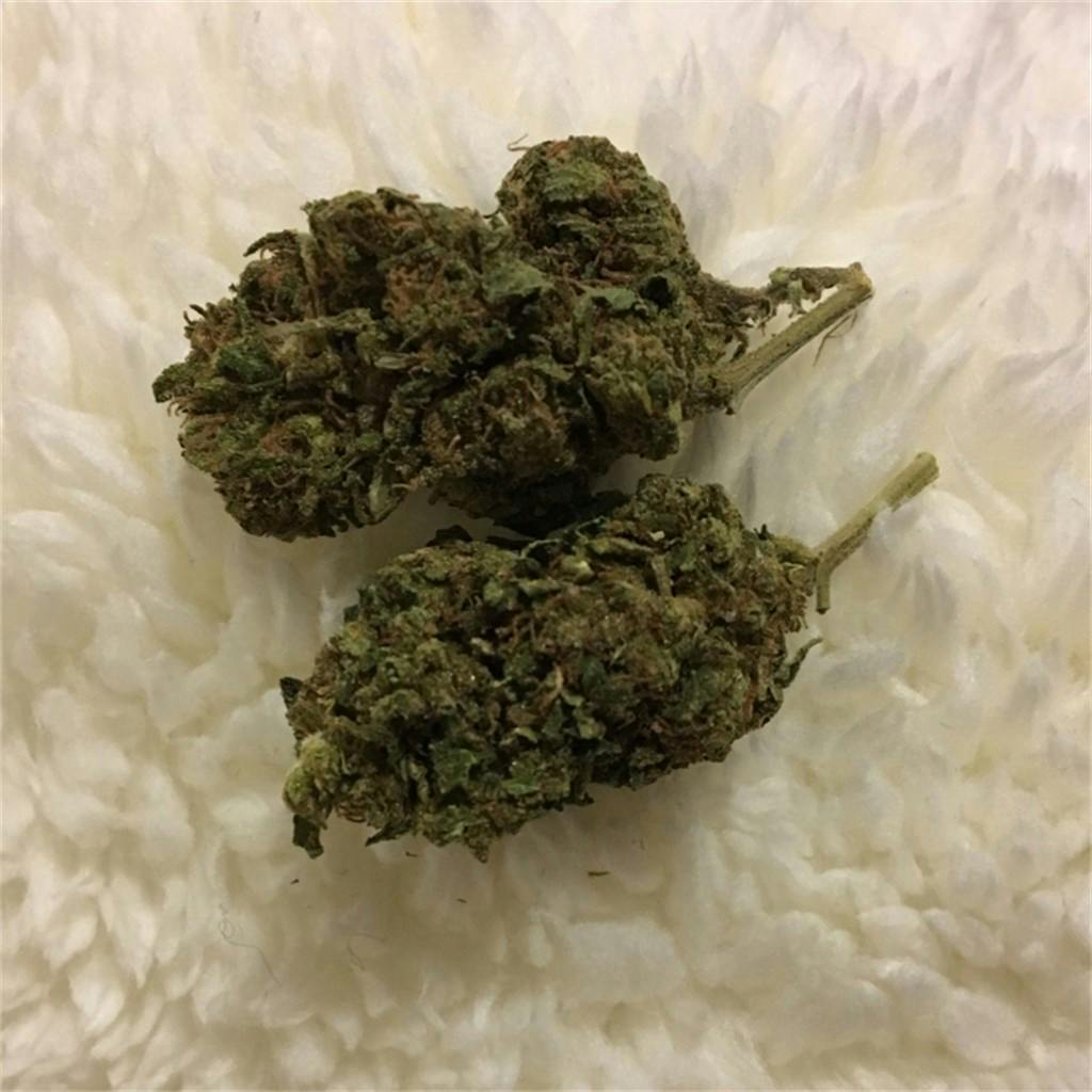 Blueberry Cheesecake aka Blue Cheesecake Weed Strain Information Leafly