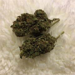 User uploaded image of Blueberry Cheesecake