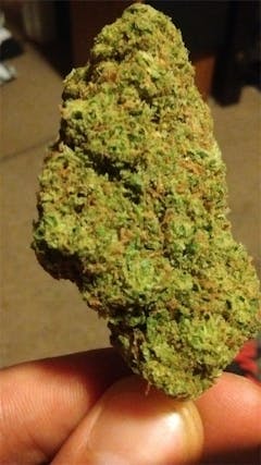 User uploaded image of Blueberry Cheesecake