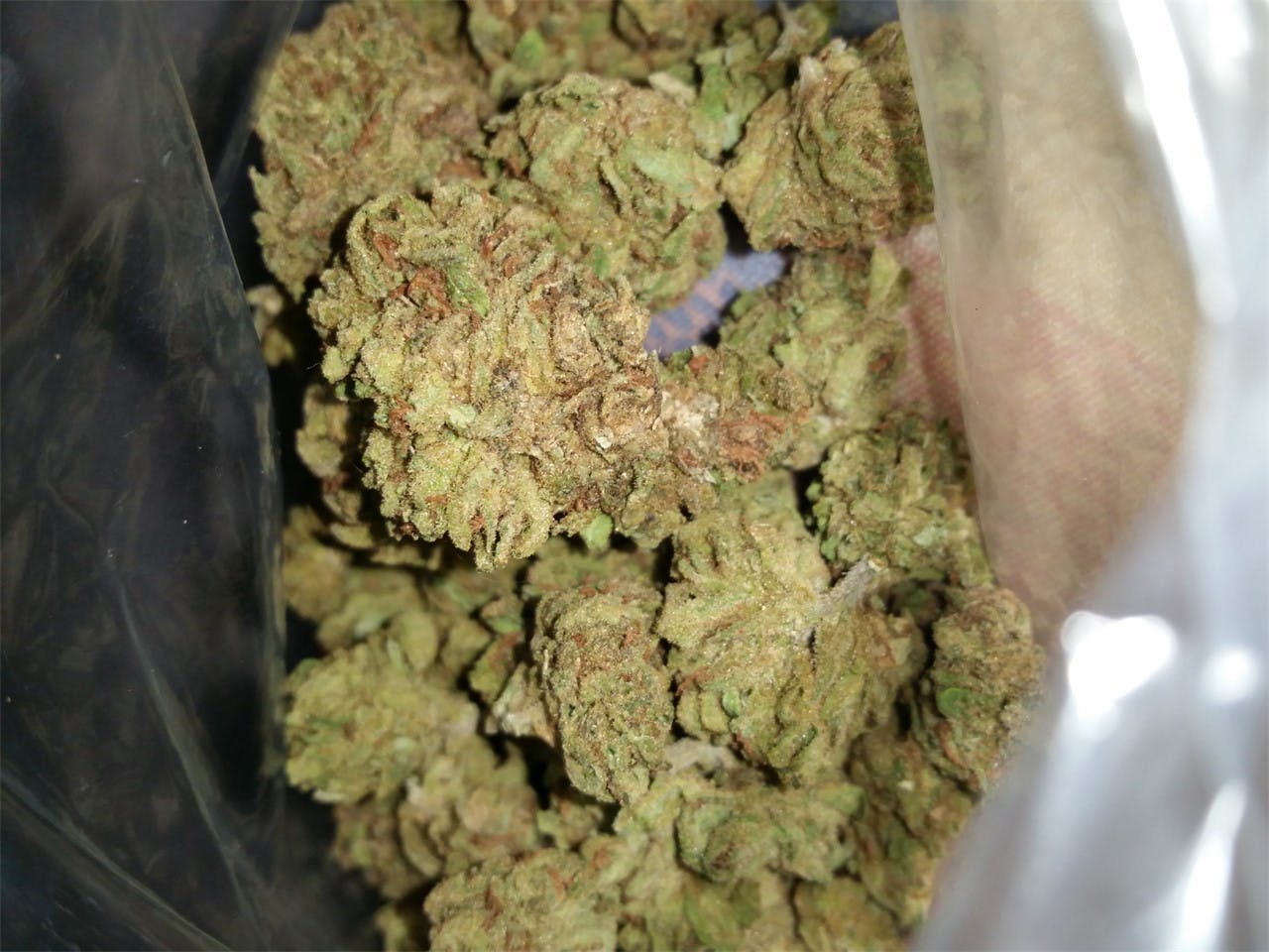 Photos of Blueberry Cheesecake Weed Strain Buds Leafly