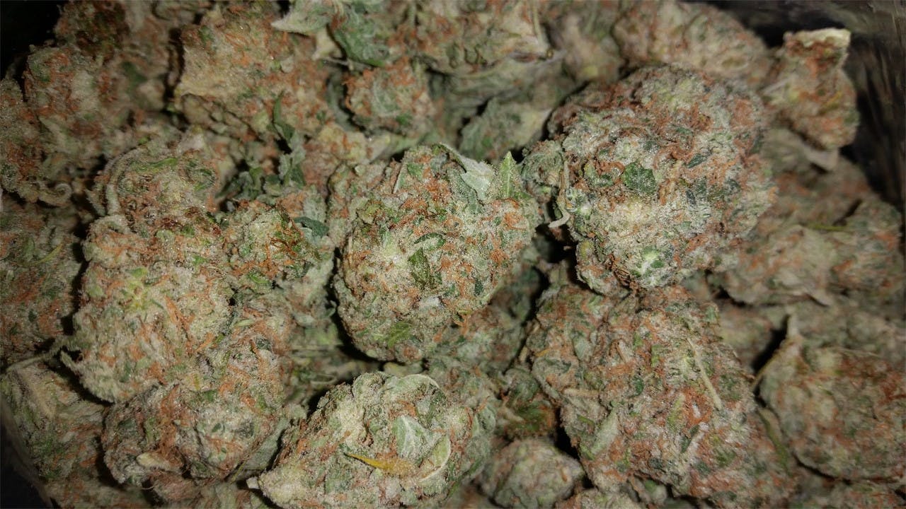 Photos of Blueberry Cheesecake Weed Strain Buds Leafly