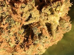 User uploaded image of Blueberry Cheesecake