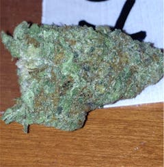 User uploaded image of Blueberry Diesel
