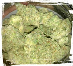 User uploaded image of Blueberry Diesel
