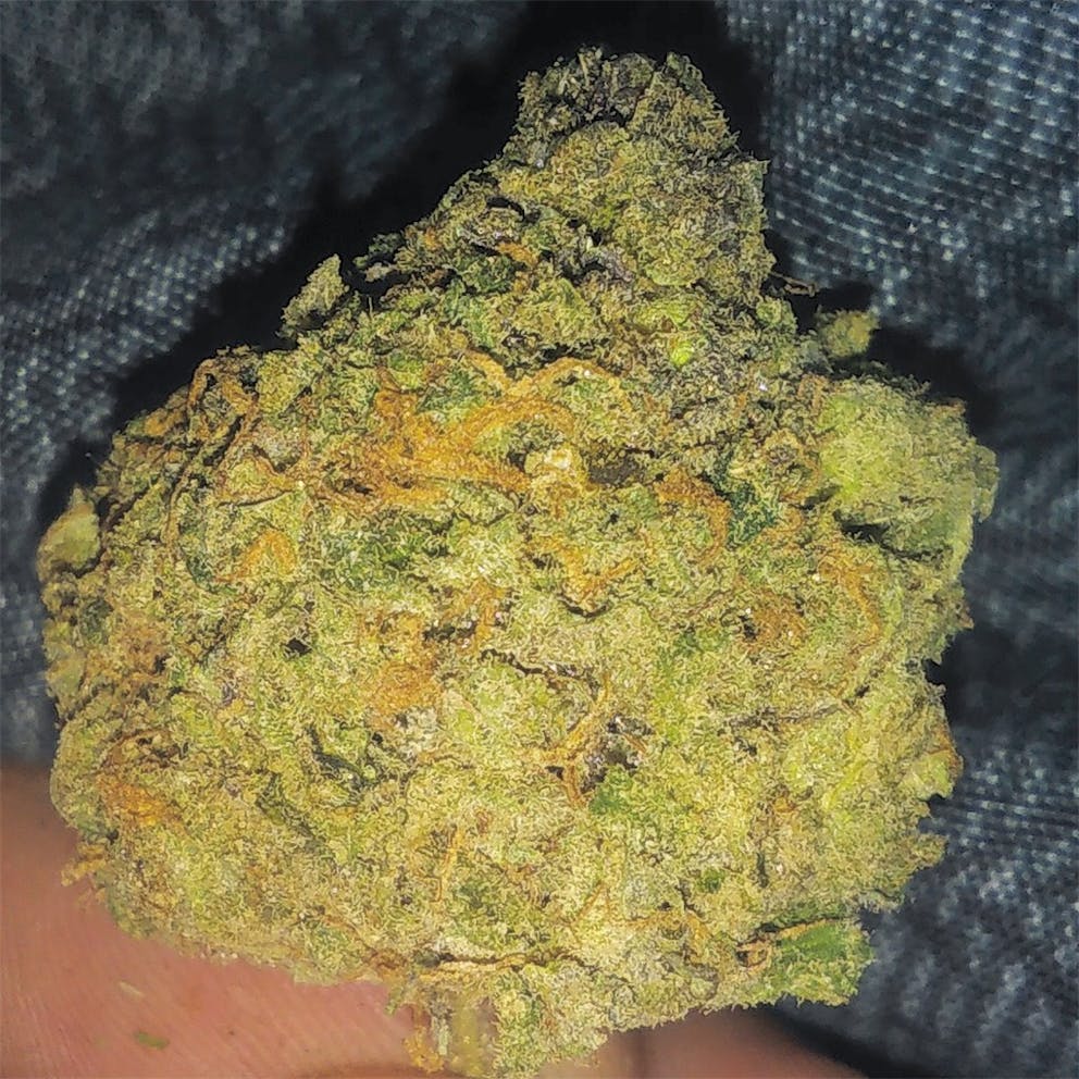 Photos of Blueberry Diesel Weed Strain Buds Leafly