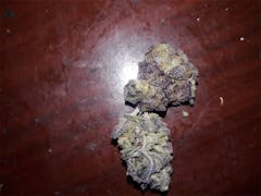 User uploaded image of Blueberry Diesel