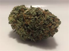 User uploaded image of Blueberry Dream