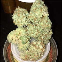 User uploaded image of Blueberry Dream