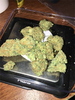 User uploaded image of Blueberry Dream