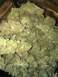 User uploaded image of Blueberry Essence