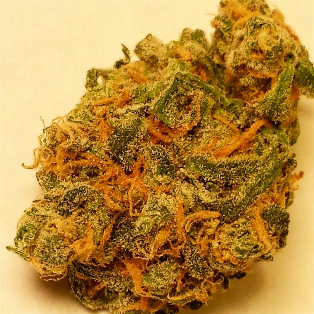 Photos of Blueberry Haze Weed Strain Buds Leafly