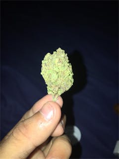 User uploaded image of Blueberry Haze