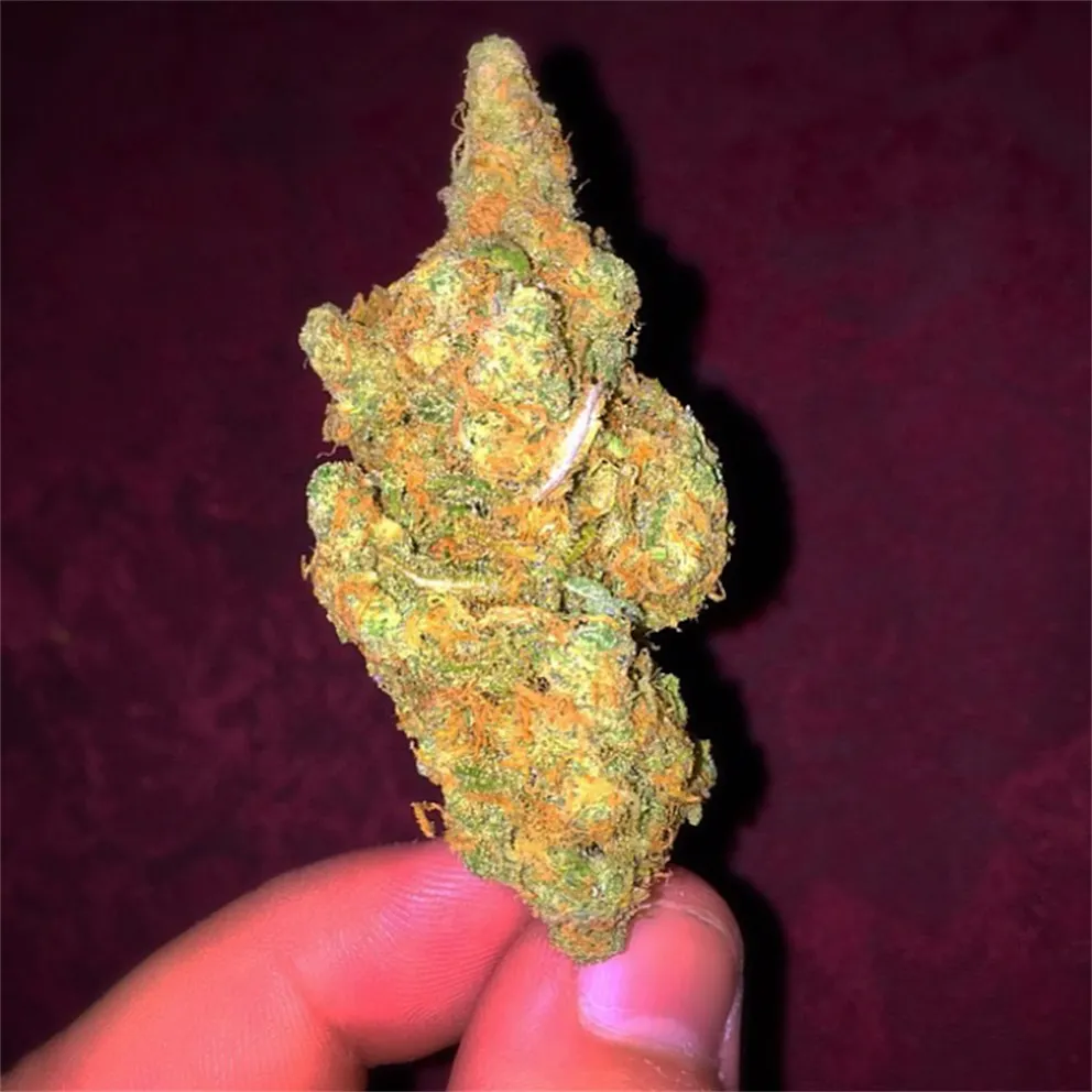 Photos of Blueberry Haze Weed Strain Buds | Leafly