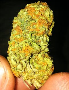 User uploaded image of Blueberry Headband
