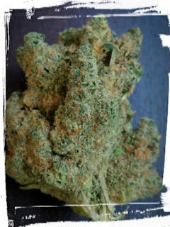 User uploaded image of Blueberry Headband