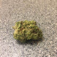 User uploaded image of Blueberry Headband